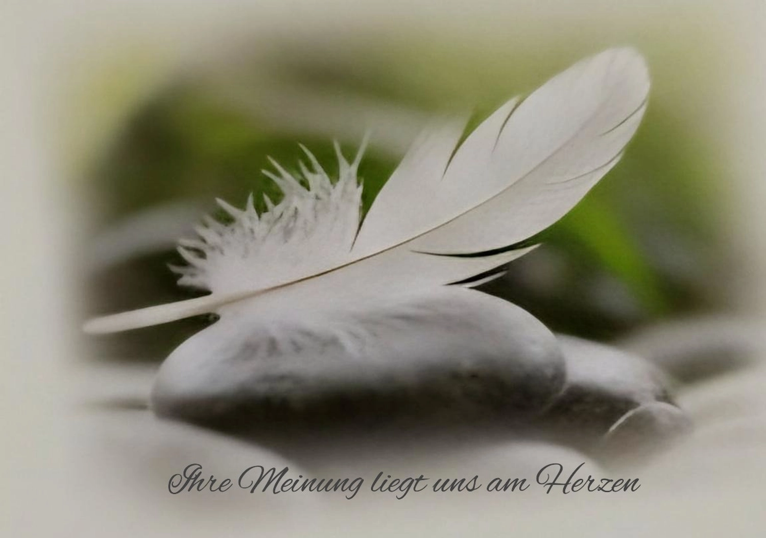 Bestattung Die letzte Umarmung – Bestatter – Dieses Bild enthält einen ruhigen, künstlerischen Hintergrund mit einer zarten weißen Feder, die auf einem dunklen, glatten Stein ruht